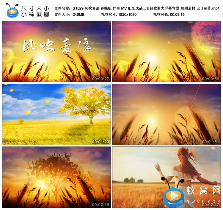 S1529 风吹麦浪 伴奏 MV配乐成品 LED节目歌曲大屏幕背景视频素材 - 图1