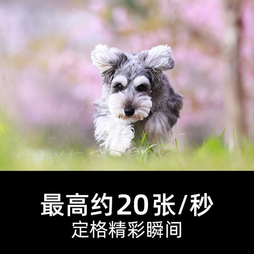 [旗舰店]Canon/佳能 EOS R5 机身/套机 全画幅专微 8K短片相机 - 图3
