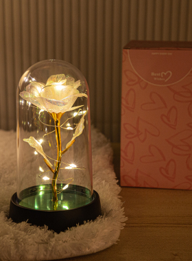 送妈妈母亲永生花七夕节女友礼品