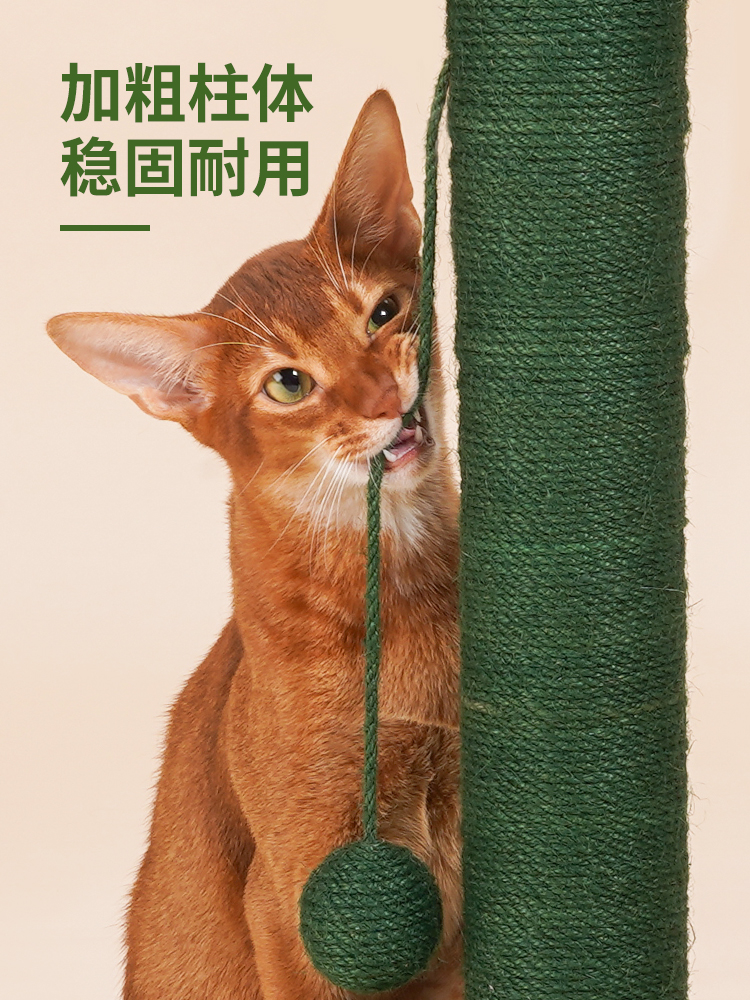 上宅▲zeze绿色仙人掌猫抓柱磨爪剑麻绳树小型猫爬架子猫抓板玩具 - 图1