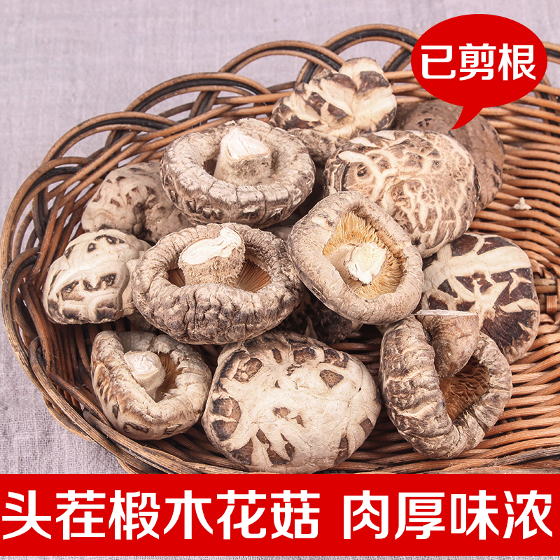 菌根菌的应用技术