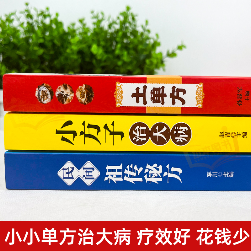 【全3册】土单方+小方子治大病+民间祖传秘方正版民间实用张至顺道长土单方草药书三册中国医书大全老偏方食补中药方剂中医书籍-图2