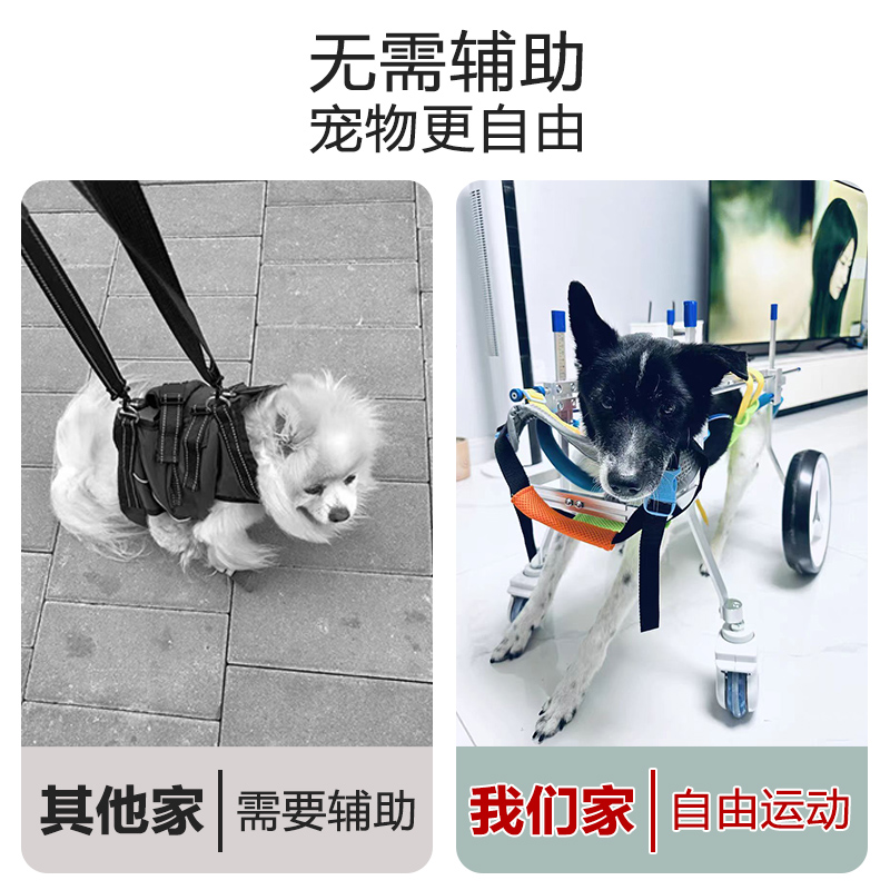 狗轮椅后肢瘫痪宠物代步车残疾狗狗后腿辅助猫泰迪大型小型犬支架 - 图1