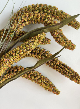 仿真高粱小米谷子橱窗装饰植物