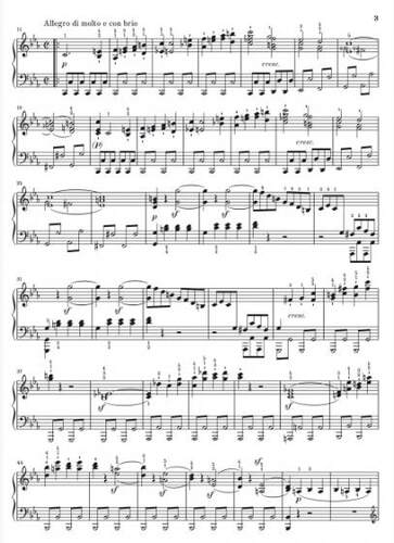 亨乐原版 贝多芬 第八钢琴奏鸣曲C小调op13 悲怆 钢琴独奏带指法 Beethoven Klaviersonate Nr.8 c-moll op.13 HN1348 - 图2