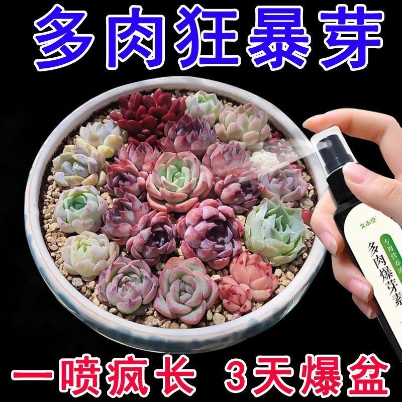 优芽素多肉专用肥营养液植物肥料爆芽素控释肥催芽优牙素测发促芽 - 图0