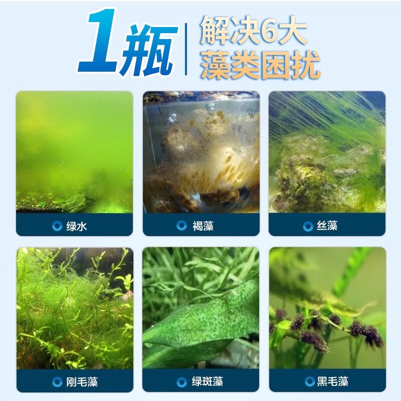 鱼缸除藻王鱼缸青苔清理神器去除绿藻绿水褐藻丝藻黑藻黄水除藻剂