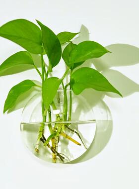 客厅装饰摆件花瓶乔飞鹤装饰
