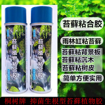 Moss Gum Tung Tree Plate Evergreen Moss Adhesive Rainforest Tank Background Wood Mucus Moss Fixed Plant Spray Glue
