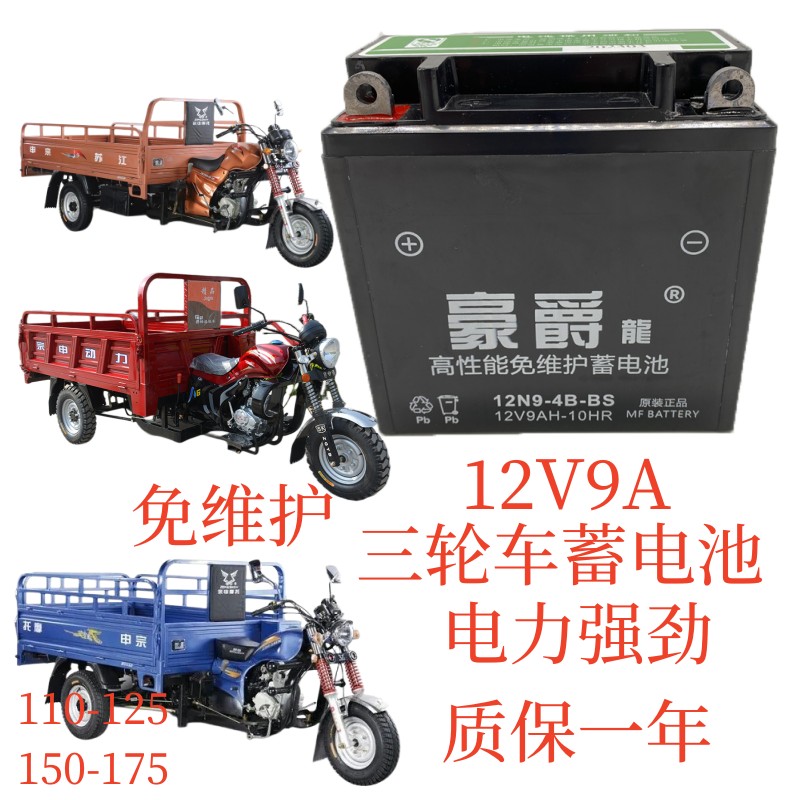 豪爵龙12N9-4B-1摩托车正三轮车150 175电瓶蓄电池12V9AH 男士125 - 图2