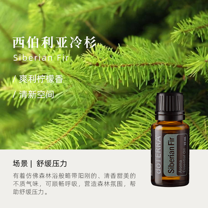 多特瑞西伯利亚冷杉精油抗菌缓解酸痛植物香薰doTERRA官方正品-图0