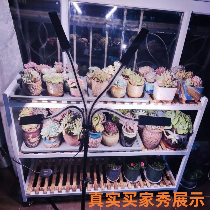 落地太阳全植物灯室内光三角架仿支架植物生长灯谱LED植物补光灯