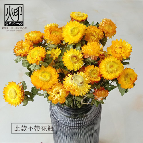 小雏菊干花花束天然风干真花适合放客厅壁挂装饰摆件设清明节插花-图1