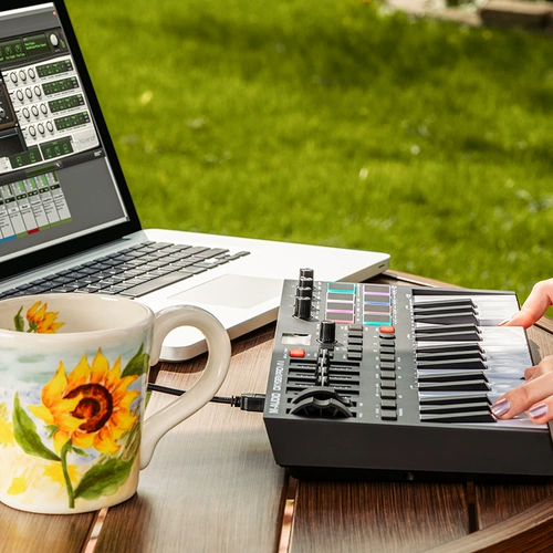 M-Audio oxygen Pro Mini Полу-весу Mini 32-ключ для музыкальной аранжировка клавиши Midi Controller