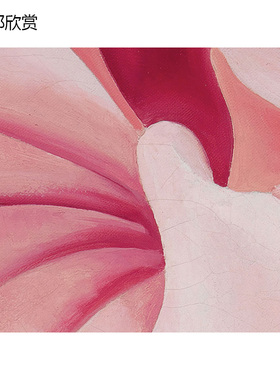 芙蓉与鸡蛋花美国花卉抽象装饰画