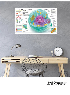 细胞内部科普海报医院学校装饰画