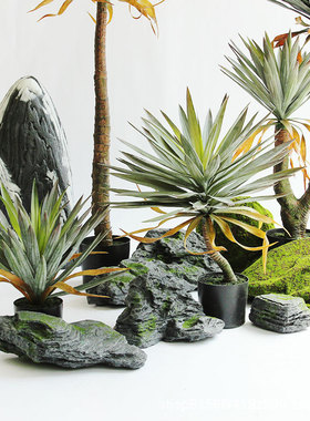仿真龙舌兰剑兰热带雨林沙漠绿植物工程装饰造景落地摆件橱窗陈列