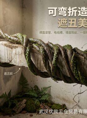 藤条装饰枯藤仿真树藤造景枯枝青苔假藤蔓粗仿真树植物大爬藤仿真