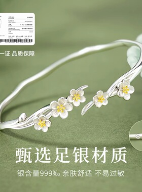 莫离银手镯女纯银999足银镯子高级感老婆生日礼物送女友s