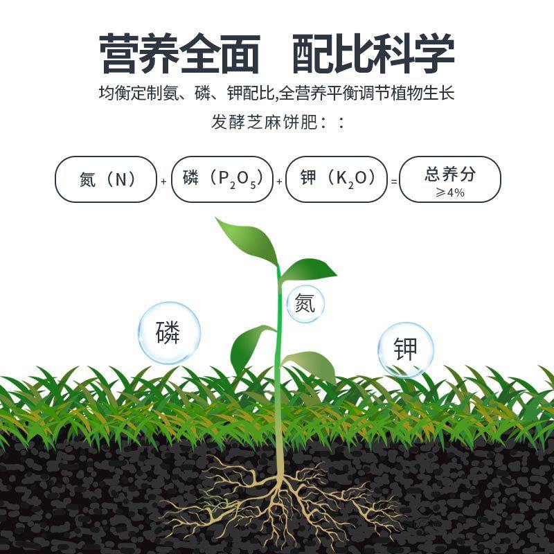 芽动力发酵芝麻饼肥有机肥种菜种花通用型腐熟肥料养花专用花肥,淘宝优惠券,粉丝福利购,淘宝优惠卷