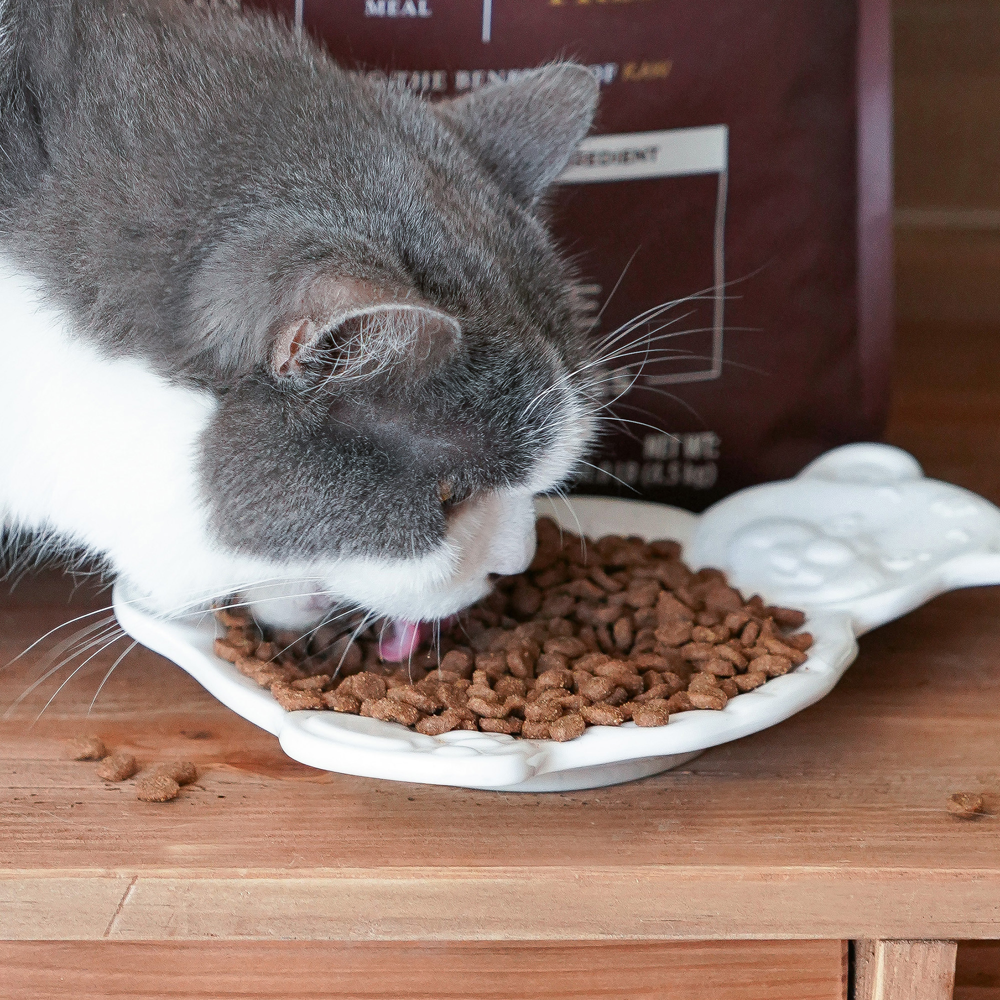 宅猫酱 百利高蛋白猫粮Instinct生鲜本能经典无谷鸡全价猫主粮 - 图2