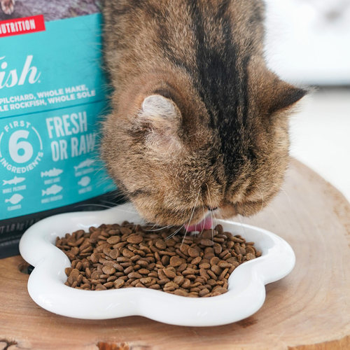 宅猫酱 Orijen原始猎食渴望六种鱼猫粮成幼猫猫咪主粮全猫粮1.8kg - 图3