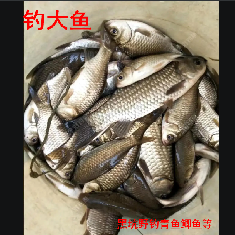 垂钓鱼饵原料鲜奶香精奶味小药诱食添加剂配黑坑水库野钓窝料酒米,淘宝优惠券,粉丝福利购,淘宝优惠卷