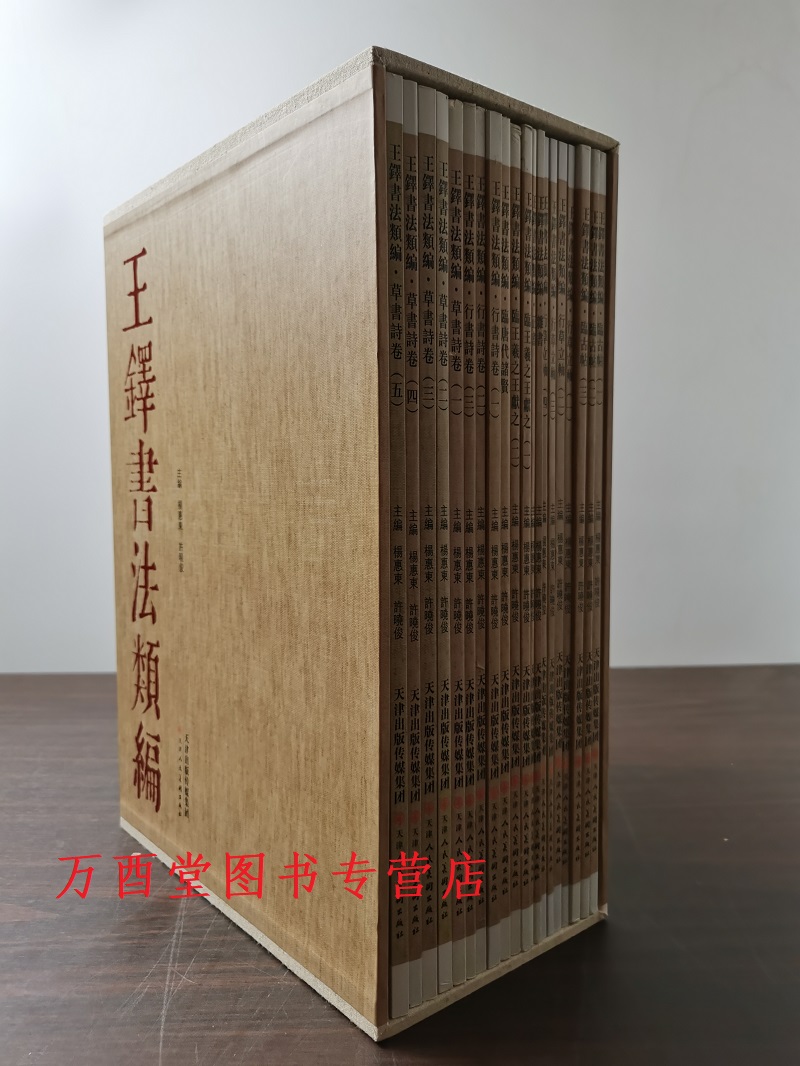 外观微瑕 介意慎拍【全20册】王铎书法类编 行书草书诗卷 行草立轴 临王羲之王献之一二三四五 临唐代诸贤 古帖 亲书 另荐草书全集