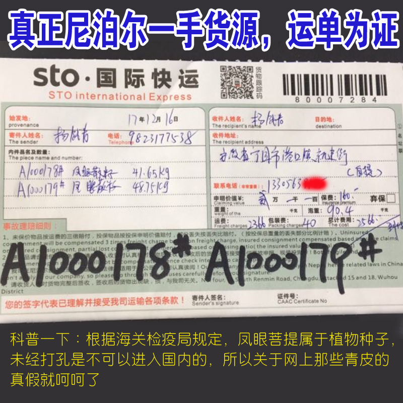 精挑凤眼菩提原籽手串正宗尼泊尔红皮手持佛珠108颗念珠男士18mm