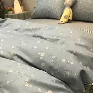 青色床单 新人首单立减十元 21年8月 淘宝海外