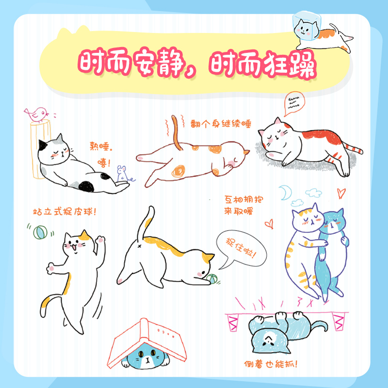 猫里猫气 减压猫咪简笔画 飞乐鸟萌系简笔画教程书彩色铅笔画绘画技法猫咪手帐素材插画