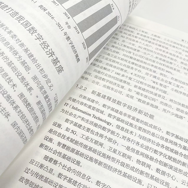 “IPv6+”网络技术创新：构筑数字经济发展基石 IPv6网络部署网络管理从入门到通网络架构设计网络技术书籍 - 图2