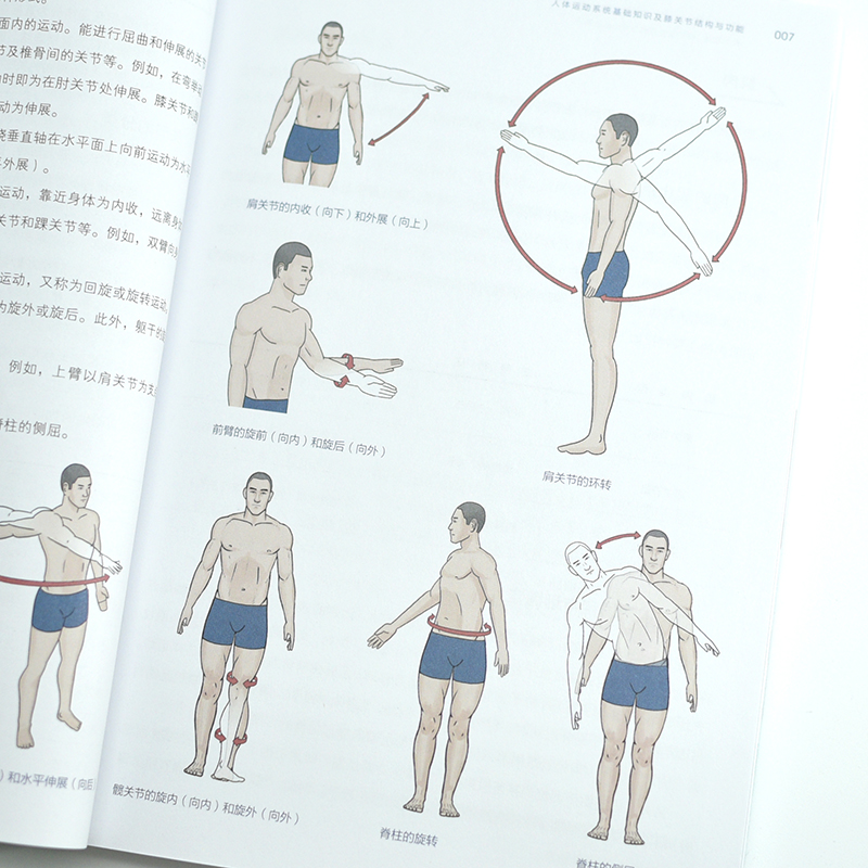 膝关节功能强化训练预防损伤缓解慢性疼痛与提高运动表现运动康复书籍运动损伤解剖学康复训练-图2