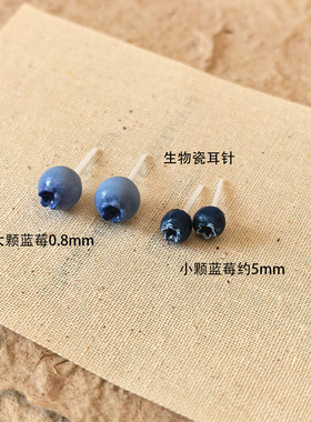 蓝莓生物瓷耳钉2026新款简约日常通勤小巧卡通水果耳环树脂耳饰女