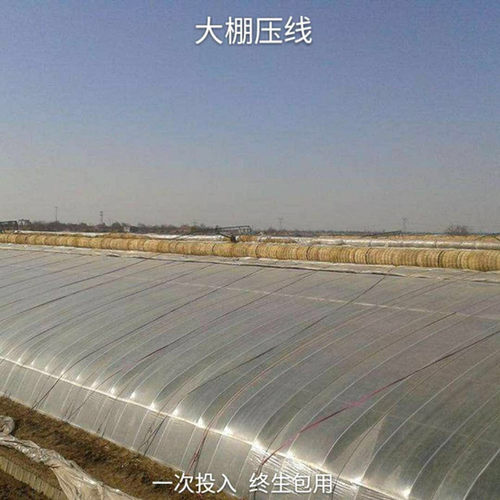 压膜绳加厚抗老化耐磨压膜线压膜带白色托膜带压棚带专用绳绷带 - 图3