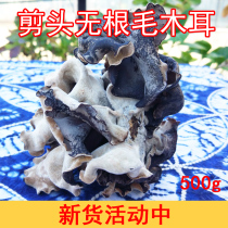 White Dorsal Agaric Rootless Agaric Dry Goods Ground Ear Crunchy Agaric North East Coarse Size Black Agaric Dry Goods 500g Commercial