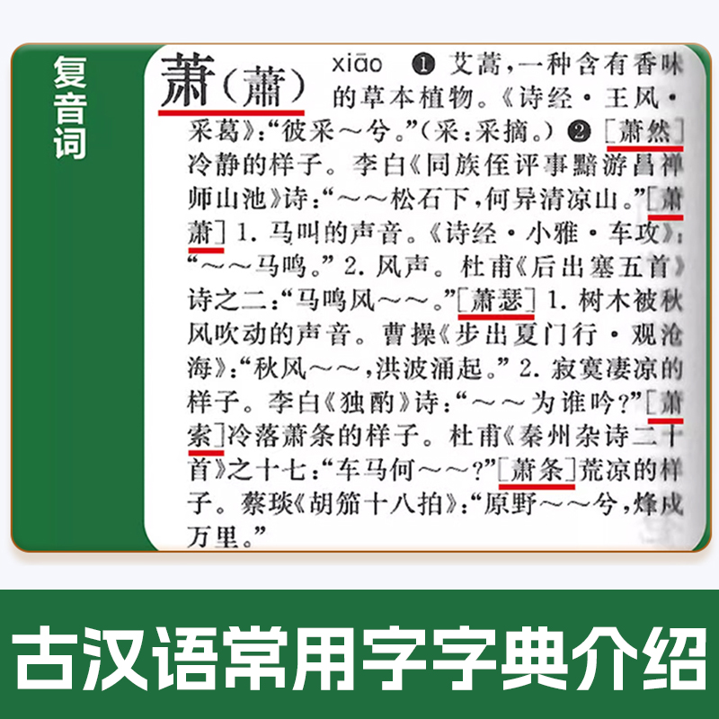 全套2册/现代汉语词典第7版 小学 古汉语常用字字典第5版小学生专用 古代汉语2024年最新版新华字典第七版人教版成语辞典第八版 - 图3