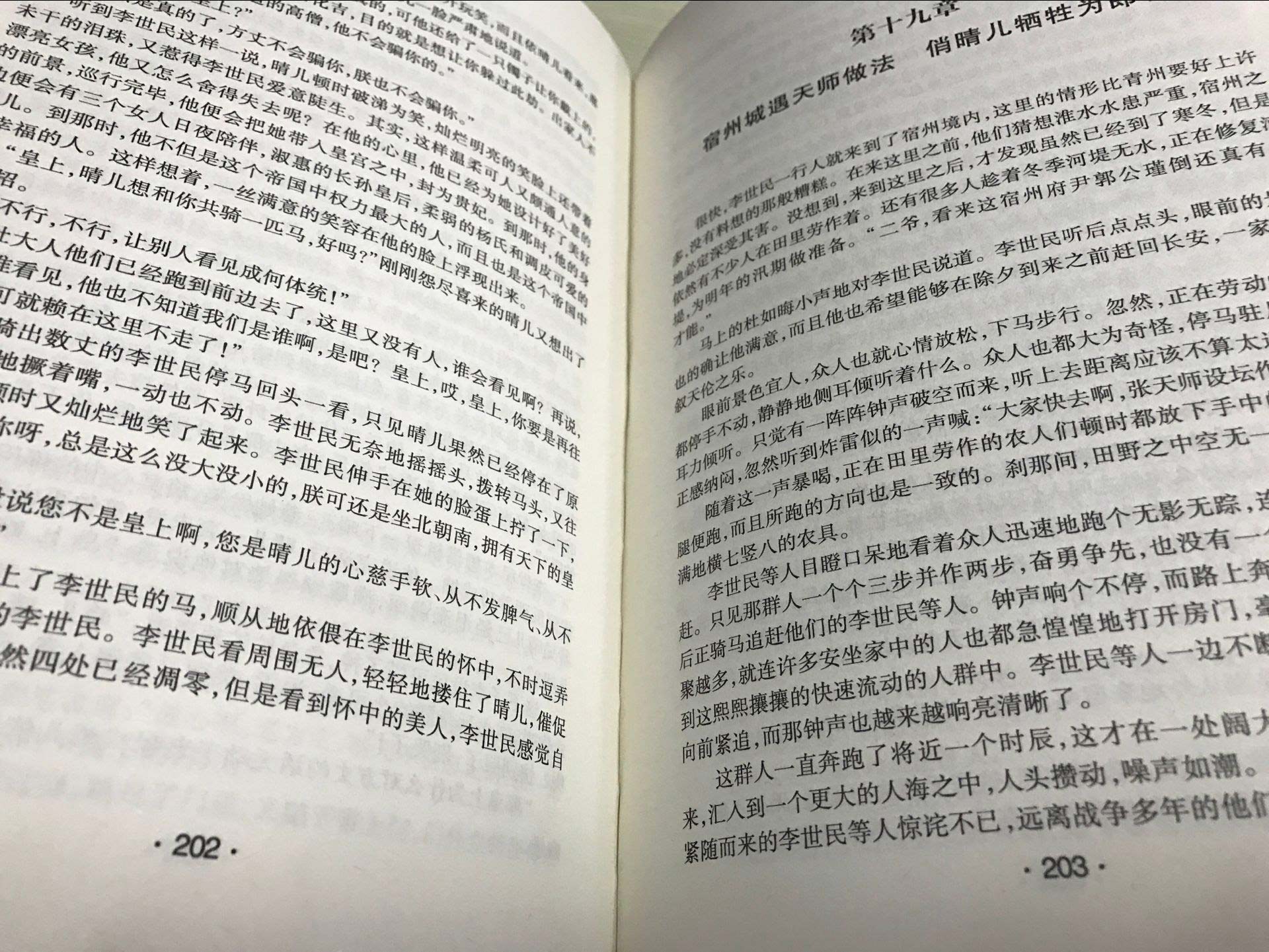 【精装硬壳】李世民传 贞观圣主 唐太宗 中国历代帝王皇帝传 一生的故事 唐朝历史李世民传皇帝书籍 王尚琦著 人物传记 畅销书籍 - 图0