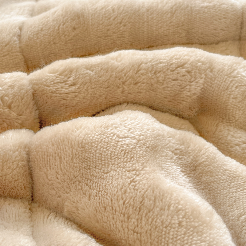 保暖兔毛绒珊瑚绒床褥垫软垫秋冬加厚防滑床铺垫褥家用卧室学生毯