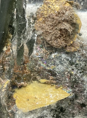 天然白水晶无事牌挂坠包裹体黄玉幽灵共生七彩虹水晶宝石一物一图