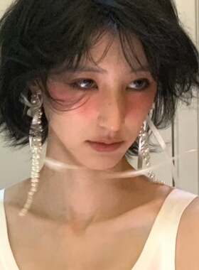 丝带珍珠耳饰女流苏显脸小夸张耳坠法式慵懒个性时尚2024新款百搭