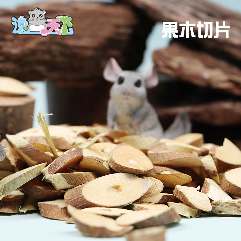 逸宠|CCCLUB中国龙猫俱乐部小食试吃蒲公英仙人掌桑叶龙猫兔子 - 图0