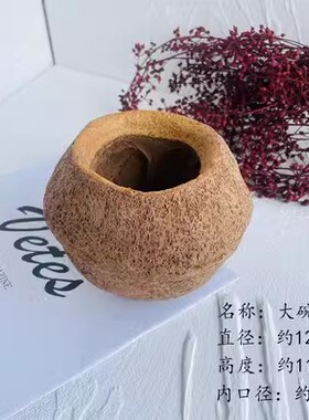 南美缸原生缸造景装饰天然落叶果实果壳底床修饰缸造景天然素材