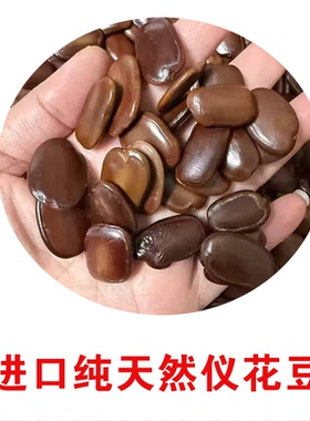 榼藤豆荚过江龙平安豆DIY配件