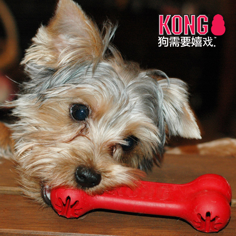 KONG狗狗玩具磨牙骨耐咬洁齿磨牙漏食绳结骨头幼犬橡胶 - 图1