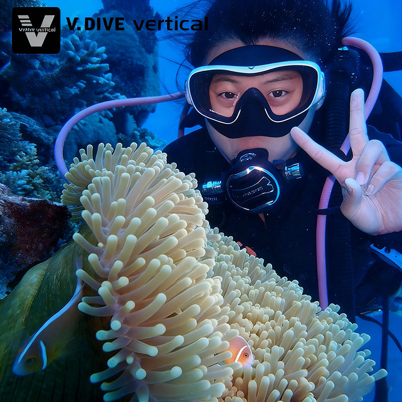 威带夫vdive专业潜水面镜301水肺呼吸防雾深潜大视野游泳浮潜面罩,淘宝优惠券,粉丝福利购,淘宝优惠卷