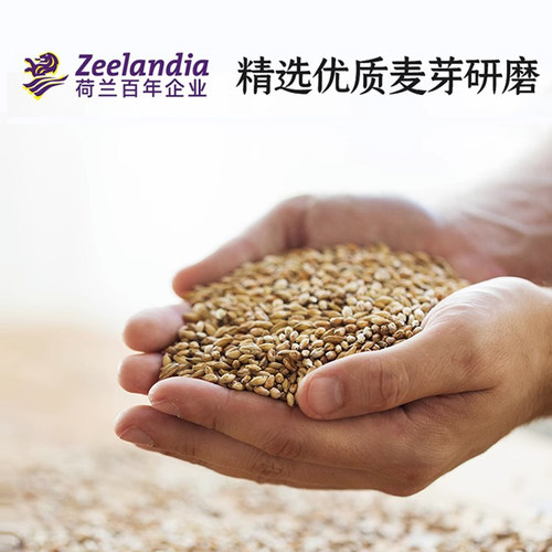 芝兰雅麦香粉1kg 全麦谷物面包面团调理粉商用预拌粉 - 图0