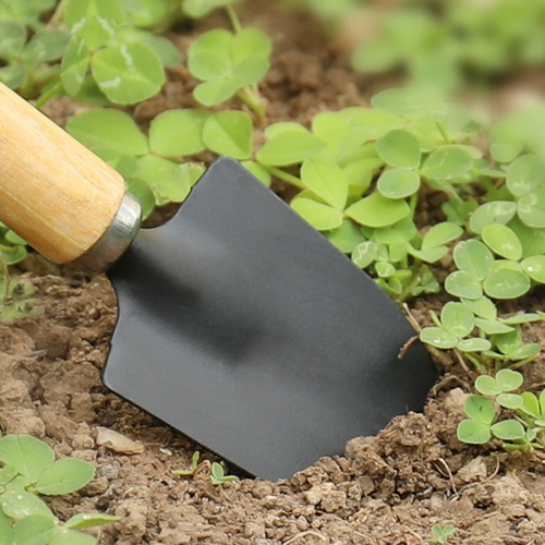 Цветочные инструменты Мебель, овощные цветы, цветение, мясистая лопата, сосновая почва