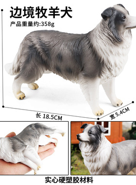 仿真实心野生动物模型边境牧羊犬宠物狗模型儿童早教认知家居摆件