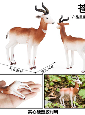 儿童仿真动物玩具野生动物模型实心苍羚达马小鹿瞪羚认知家居摆件